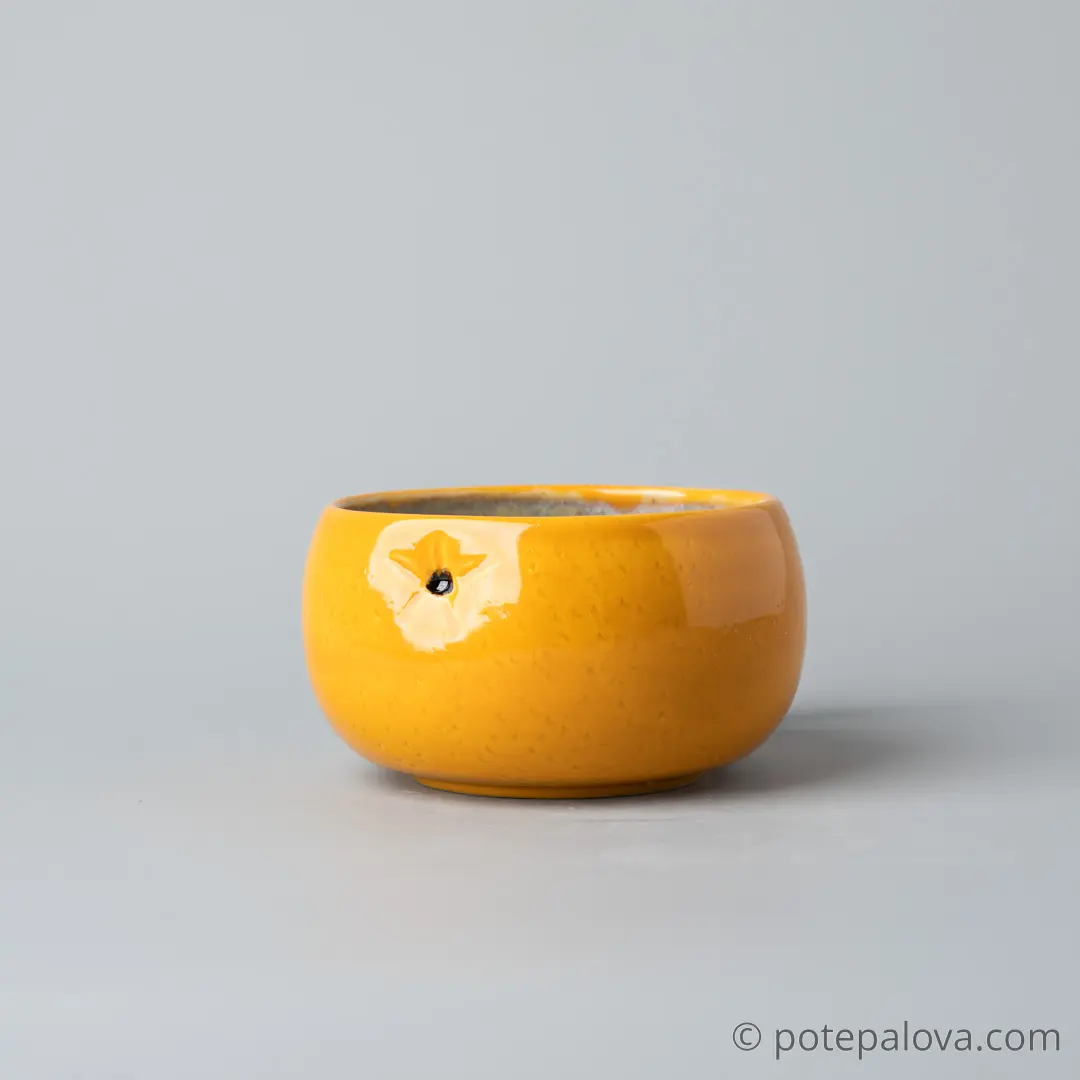 картинка Чашка Светланы Шумских "Мандарин" 7 - DishWishes.Ru