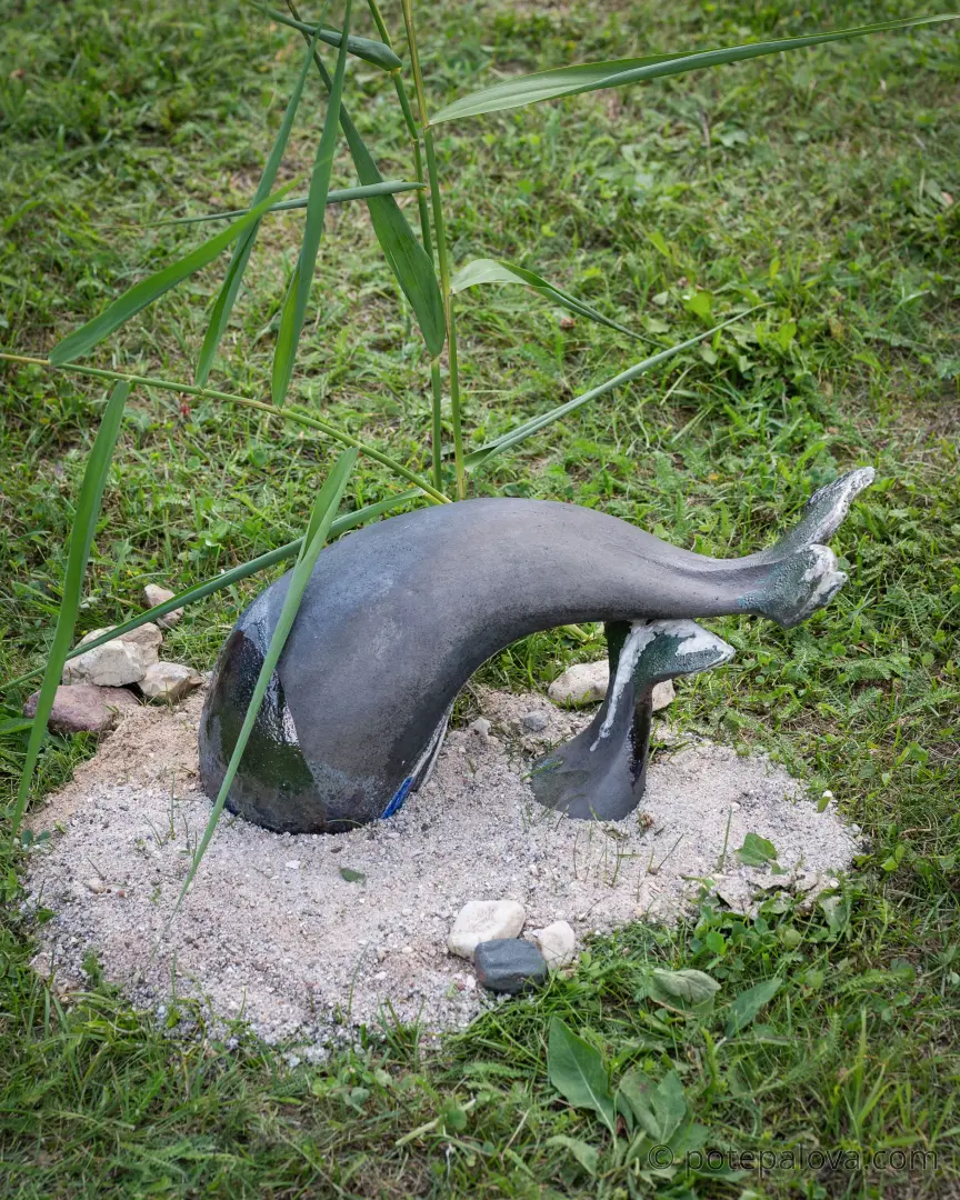 DSC_4019.jpg
